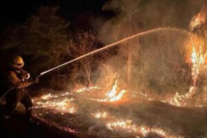 Incendios forestales en Bolivia