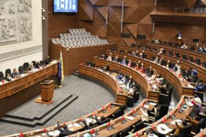 suspensión de primarias en la Cámara de Diputados