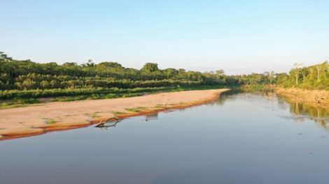 Feria del Libro de La Paz 2024 enfocada en la conservación del medio ambiente