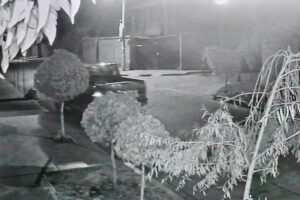 Robo en Vinto, Cochabamba