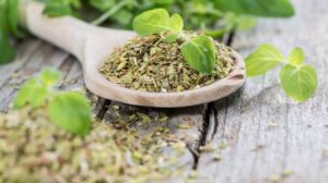 Orégano y sus beneficios para la salud