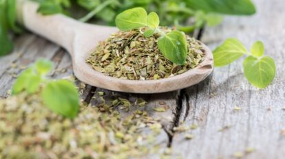 Orégano y sus beneficios para la salud
