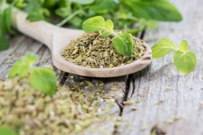 Orégano y sus beneficios para la salud