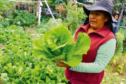 Producción de agroinsumos en Cochabamba