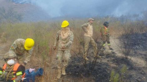 Incendio forestal en Tarija que amenazaba la Reserva de la Cordillera de Sama