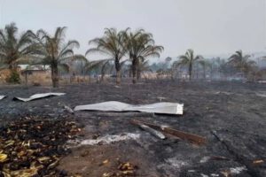 incendio forestal Santa Elena en Concepción