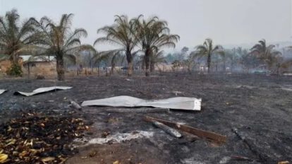 incendio forestal Santa Elena en Concepción