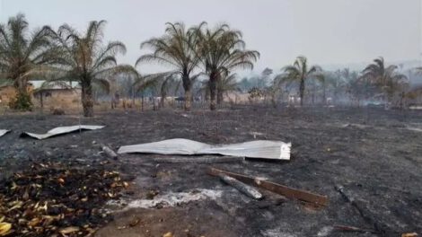 incendio forestal Santa Elena en Concepción