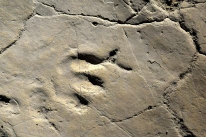 huellas fosilizadas de dinosaurios en China