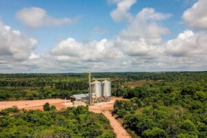 suspensión de semillas transgénicas en Bolivia