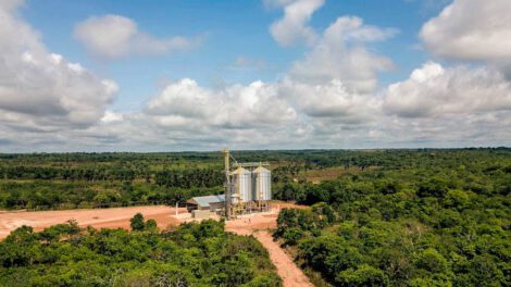 suspensión de semillas transgénicas en Bolivia