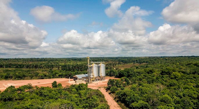 suspensión de semillas transgénicas en Bolivia