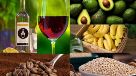 exportación de productos bolivianos a Rusia