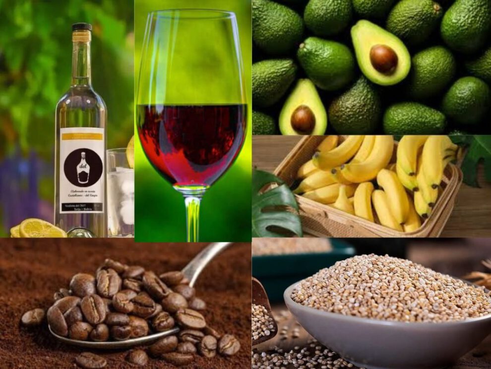 exportación de productos bolivianos a Rusia