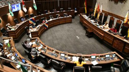 Viceministra de Justicia insta al presidente del Senado a cumplir acuerdo para suspender elecciones primarias