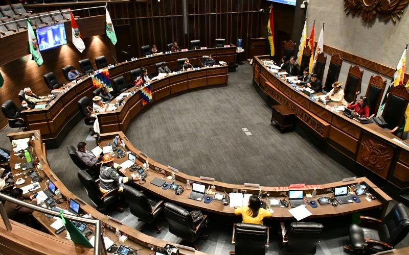 Viceministra de Justicia insta al presidente del Senado a cumplir acuerdo para suspender elecciones primarias