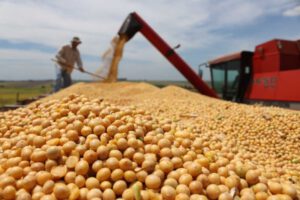 Crisis agrícola en Santa Cruz afecta producción de alimentos