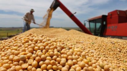 Crisis agrícola en Santa Cruz afecta producción de alimentos