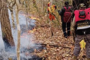 incendio forestal en Santa Cruz
