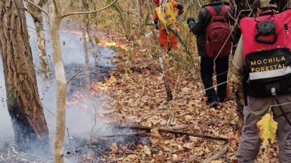 incendio forestal en Santa Cruz