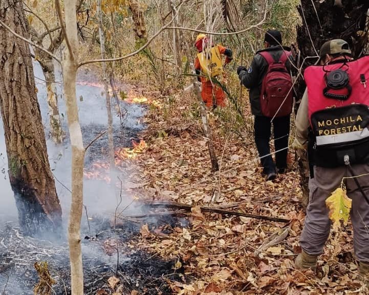 incendio forestal en Santa Cruz