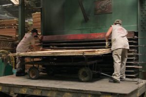 Industria maderera boliviana en crisis por escasez diésel y falta de permisos Cites