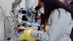 Entrenan a oftalmólogos en microcirugía oftálmica para combatir la ceguera en Bolivia
