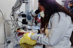 Entrenan a oftalmólogos en microcirugía oftálmica para combatir la ceguera en Bolivia