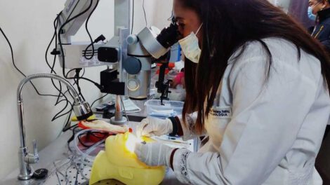 Entrenan a oftalmólogos en microcirugía oftálmica para combatir la ceguera en Bolivia