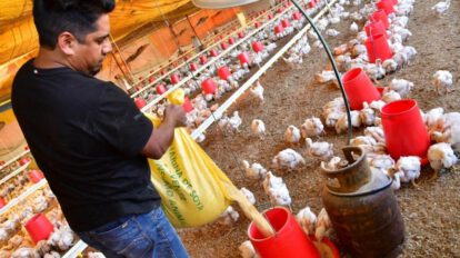 Escasez de dólares y combustible afecta a productores agrícolas