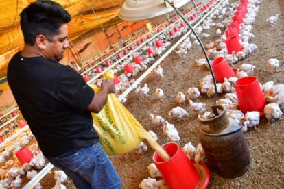 Escasez de dólares y combustible afecta a productores agrícolas
