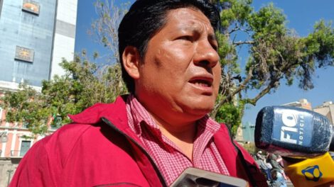 Elecciones primarias en Bolivia