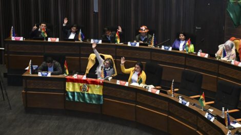 Suspensión de elecciones primarias para garantizar elecciones judiciales