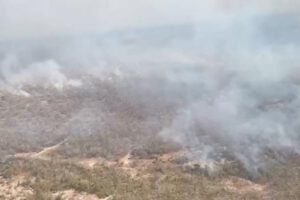 Incendios forestales en Santa Cruz han arrasado más de 1 millón de hectáreas