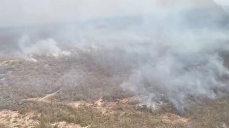 Incendios forestales en Santa Cruz han arrasado más de 1 millón de hectáreas