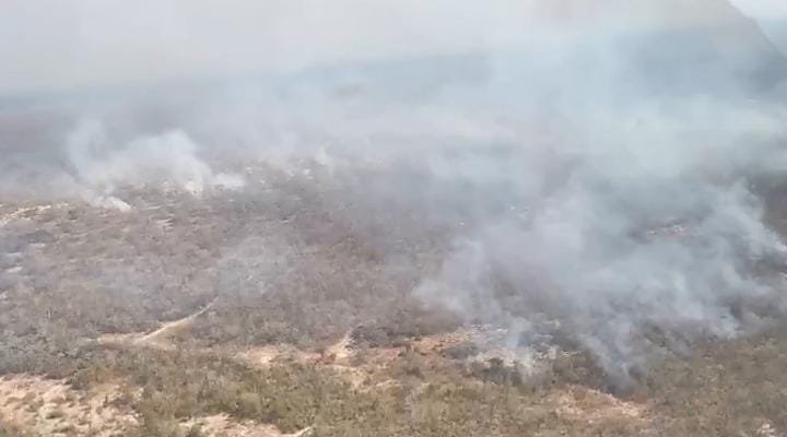 Incendios forestales en Santa Cruz han arrasado más de 1 millón de hectáreas