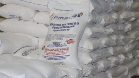 El Gobierno garantiza harina subvencionada para mantener el precio del pan