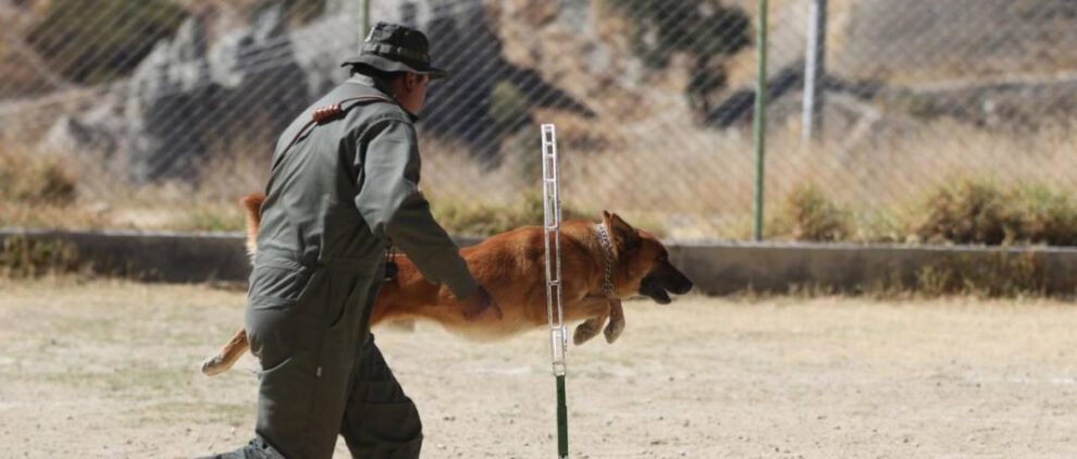 Agentes caninos en La Paz