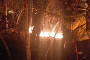 Incendio forestal en Santa Cruz