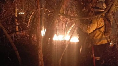 Incendio forestal en Santa Cruz