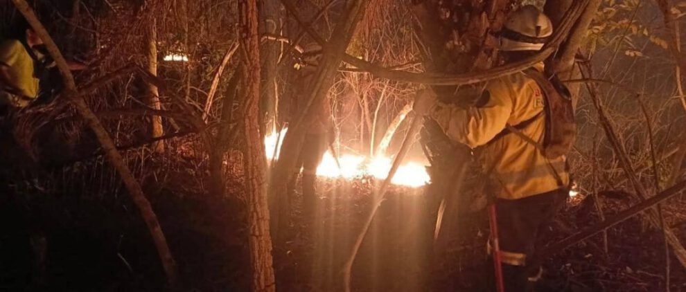 Incendio forestal en Santa Cruz