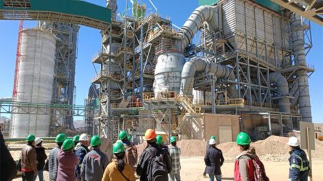 Ecebol Potosí enfrenta desafíos con su materia prima