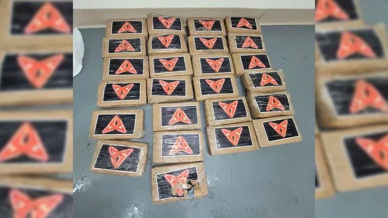 Cocaína en Florida tras el huracán Debby