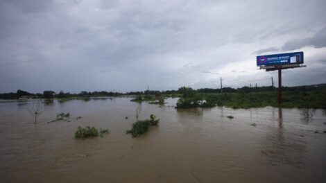 pérdidas sector agrícola Puerto Rico tras huracán Ernesto