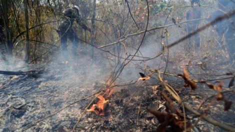 focos de calor en Pando