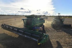 biotecnología en producción de biodiesel en Bolivia