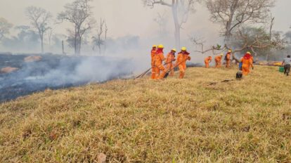 incendios forestales en Santa Cruz