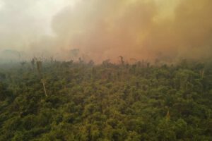 Incendios forestales en Bolivia afectan Santa Cruz