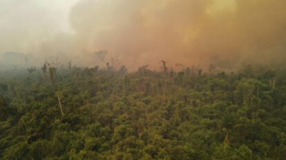 Incendios forestales en Bolivia afectan Santa Cruz