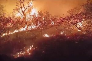 Incendios forestales en Santa Ana de Velasco afectan la educación y salud